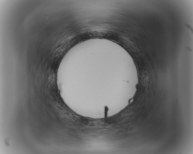 X0000100191061200806201352