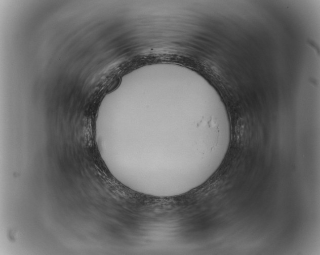 X0000100191062200806201352