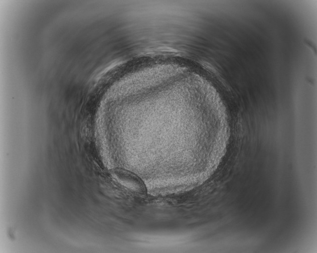 X0000100191063200806201352