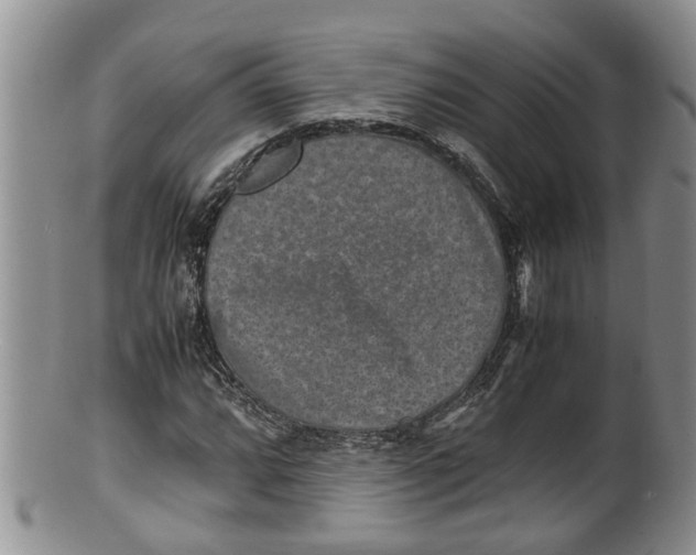 X0000100191064200806201352