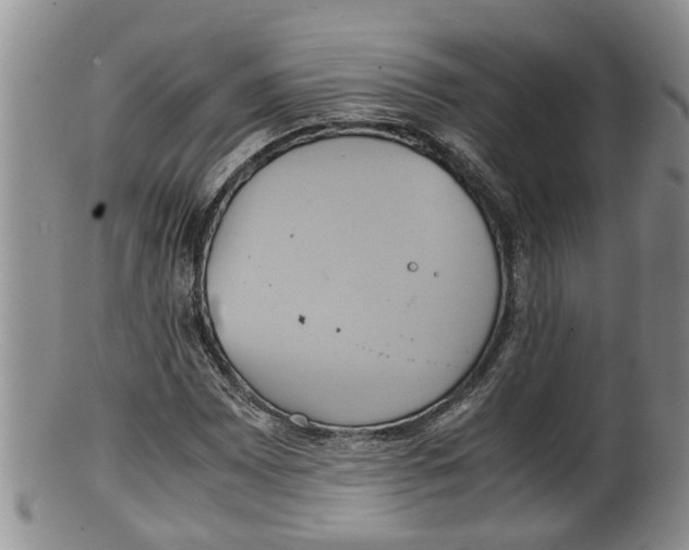 X0000100191065200806201352