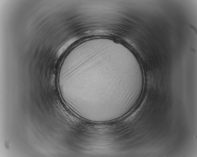 X0000100191066200806201352