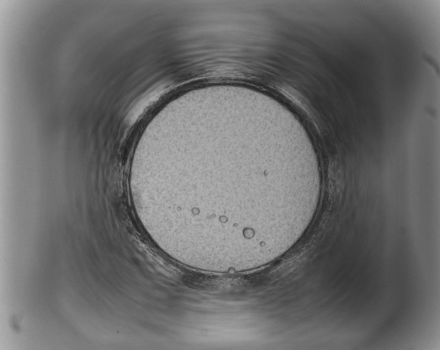 X0000100191067200806201352