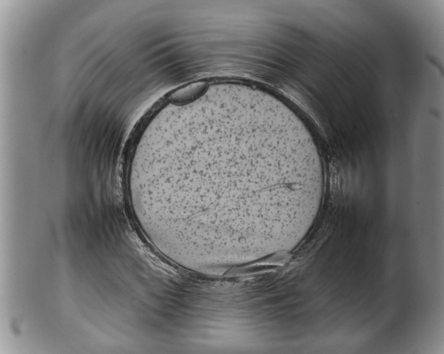 X0000100191068200806201352