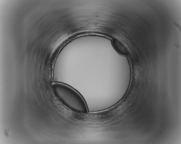 X0000100191069200806201352