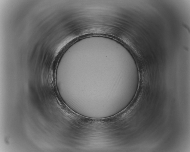 X0000100191070200806201352