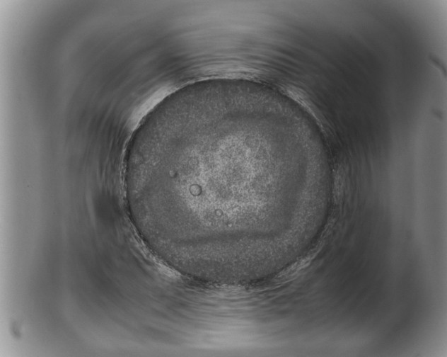 X0000100191071200806201352