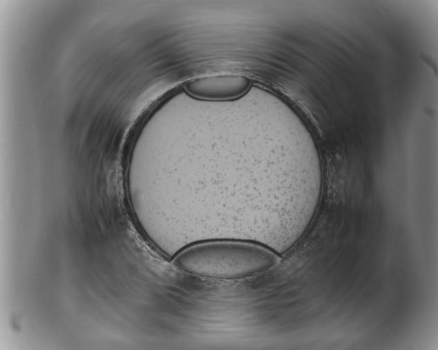 X0000100191072200806201352