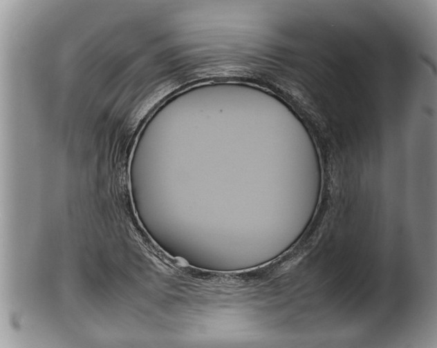 X0000100191073200806201352