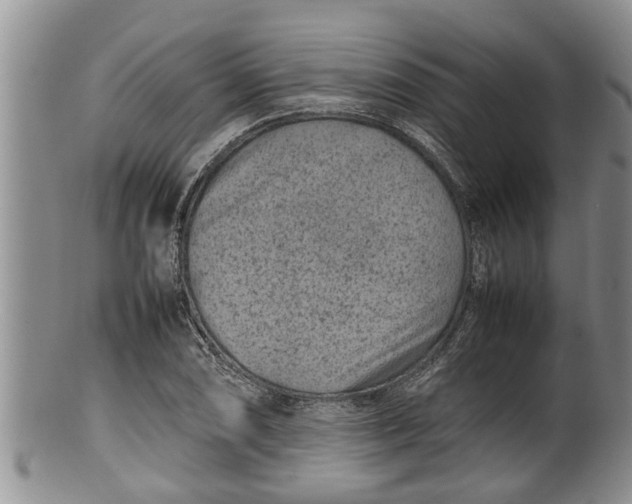 X0000100191074200806201352