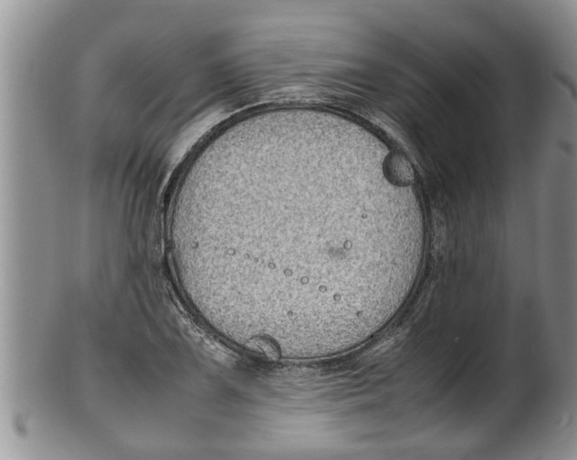 X0000100191075200806201352