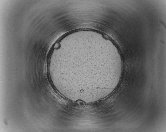 X0000100191076200806201352