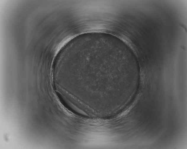 X0000100191077200806201352