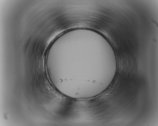 X0000100191078200806201352