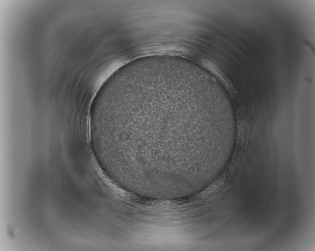 X0000100191079200806201352
