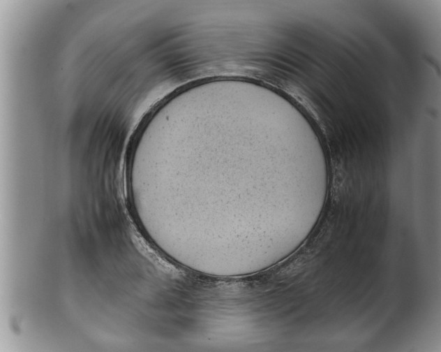 X0000100191080200806201352
