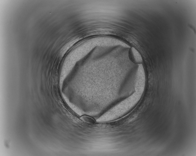 X0000100191081200806201352