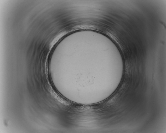 X0000100191082200806201352