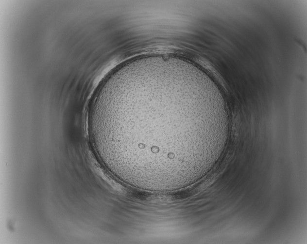 X0000100191083200806201352