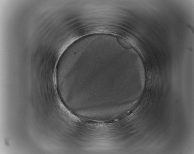 X0000100191084200806201352