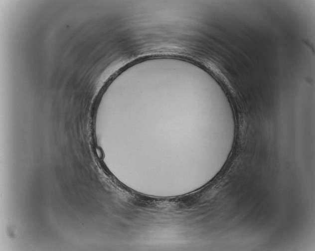 X0000100191085200806201352