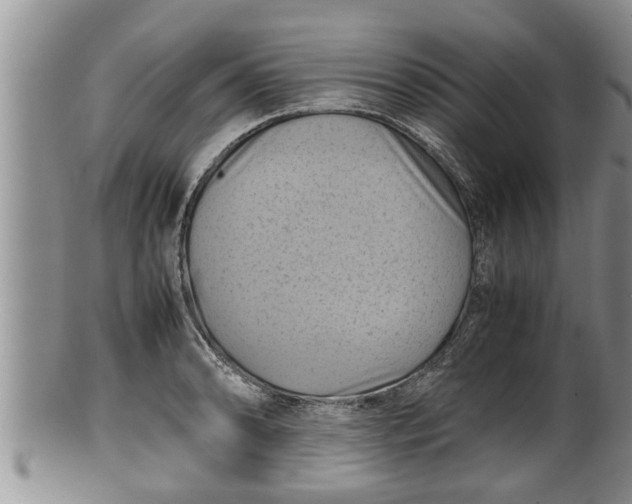 X0000100191086200806201352