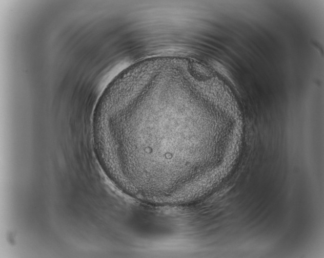 X0000100191087200806201352