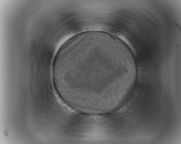 X0000100191088200806201352