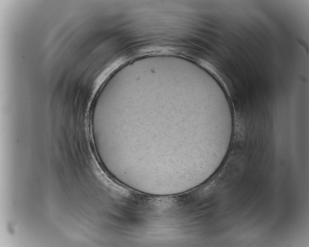 X0000100191090200806201352