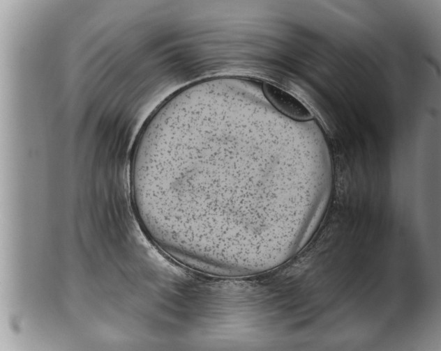 X0000100191092200806201352