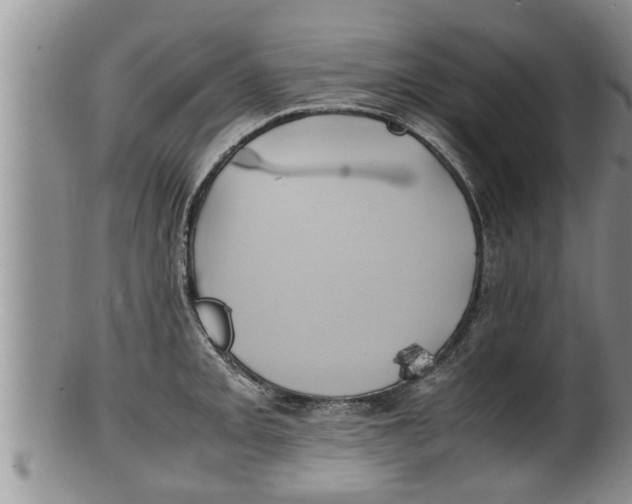 X0000100191093200806201352