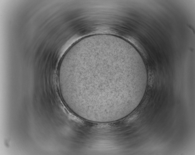 X0000100191094200806201352