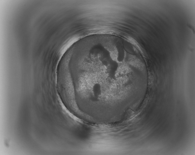 X0000100191095200806201352