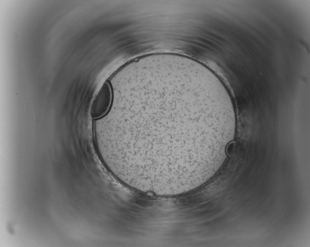 X0000100191096200806201352
