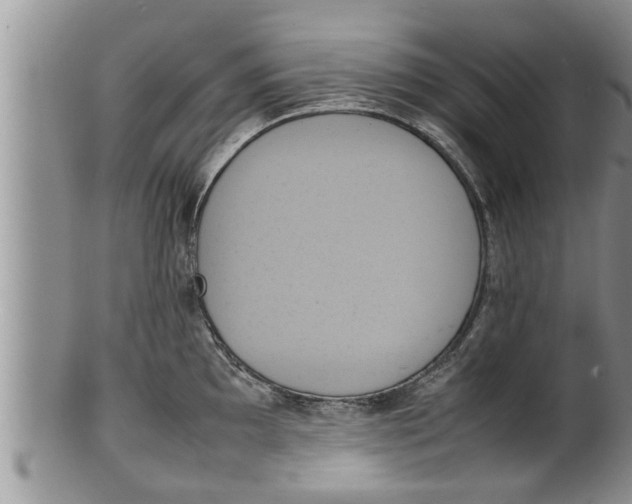 X0000100191097200806201352