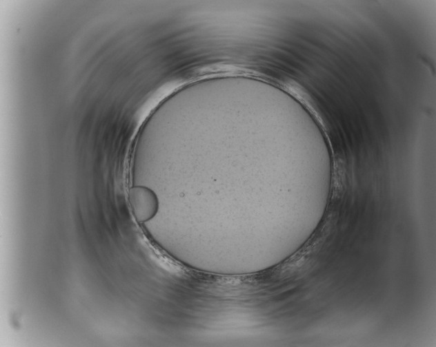X0000100191098200806201352