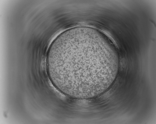 X0000100191100200806201352