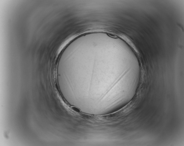 X0000100191101200806201352