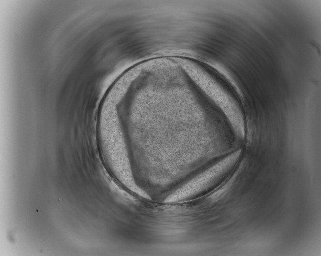 X0000100191102200806201352