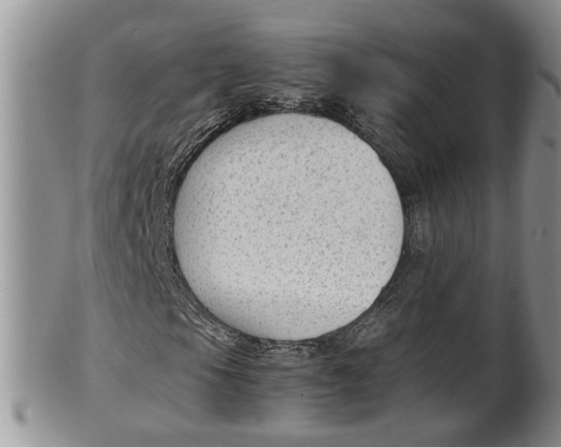 X0000100191105200806201351