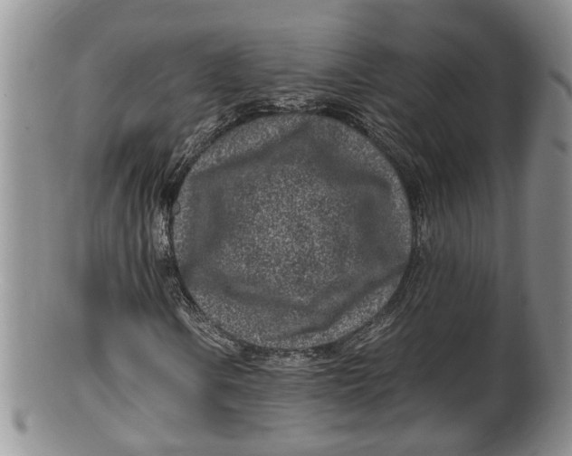 X0000100191106200806201351