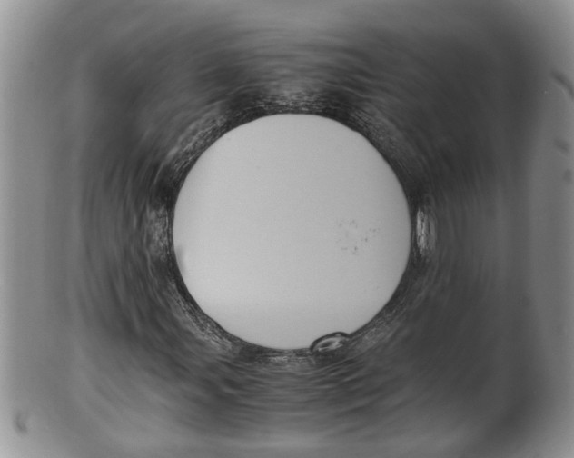 X0000100191107200806201351