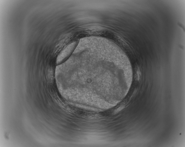 X0000100191108200806201351