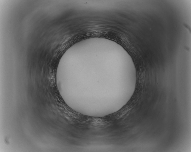 X0000100191109200806201351