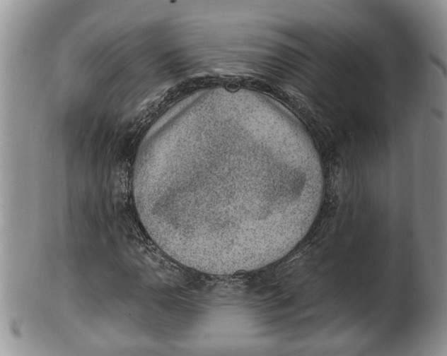 X0000100191110200806201351