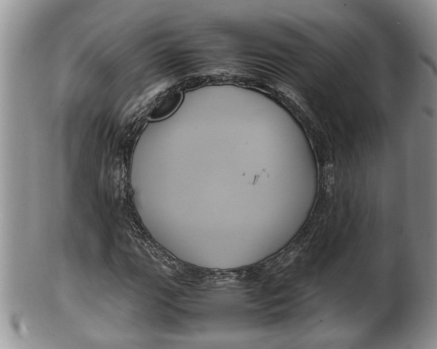 X0000100191111200806201351