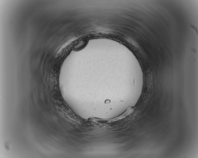 X0000100191112200806201351