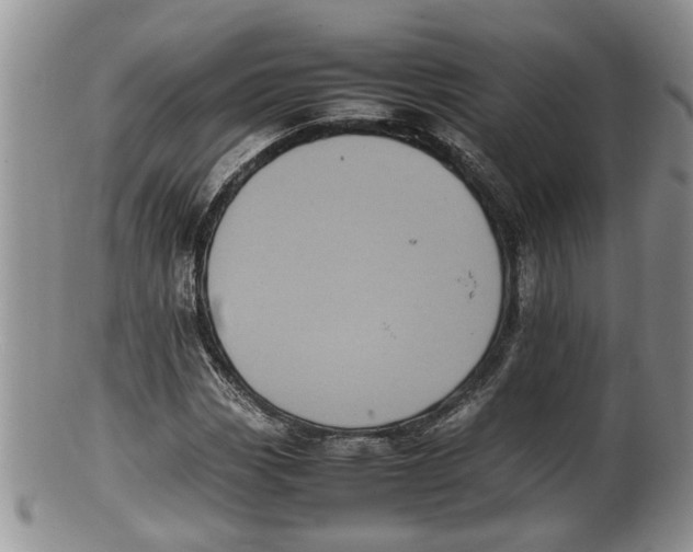X0000100191113200806201351
