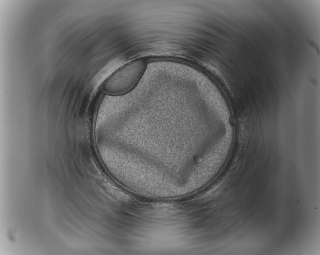X0000100191114200806201351