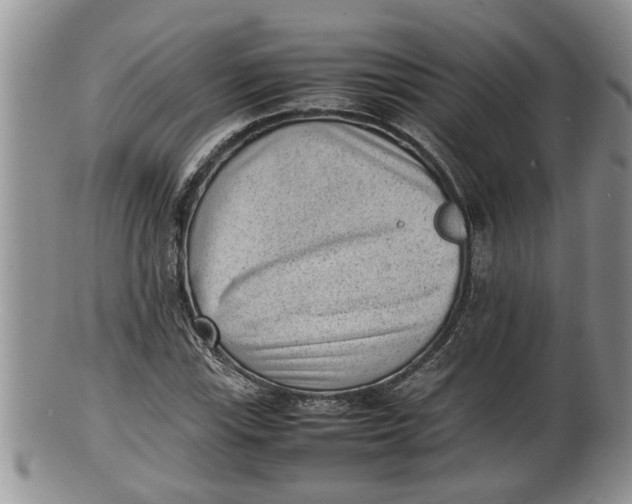 X0000100191115200806201351